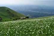 52 Vista verso il Santuario della Sacra Famiglia